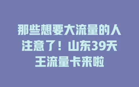 那些想要大流量的人注意了!山东39天王流量卡来啦