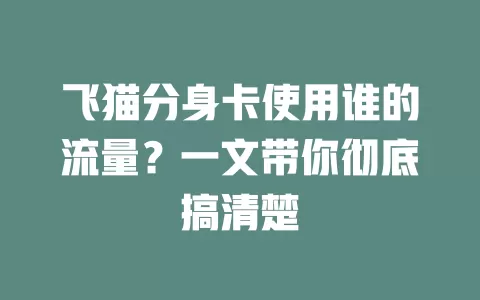 飞猫分身卡使用谁的流量?一文带你彻底搞清楚