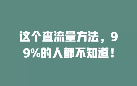 这个查流量方法,99%的人都不知道!