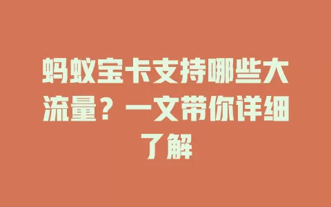 蚂蚁宝卡支持哪些大流量?一文带你详细了解