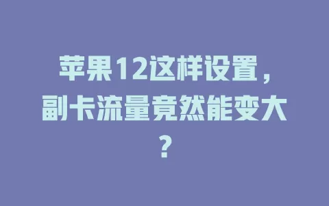 苹果12这样设置,副卡流量竟然能变大?