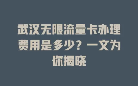 武汉无限流量卡办理费用是多少?一文为你揭晓