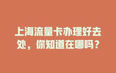 上海流量卡办理好去处,你知道在哪吗?