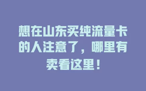想在山东买纯流量卡的人注意了,哪里有卖看这里!