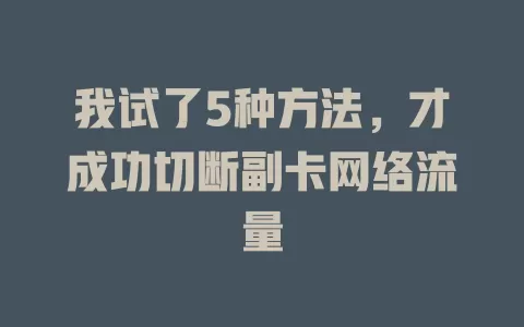 我试了5种方法,才成功切断副卡网络流量