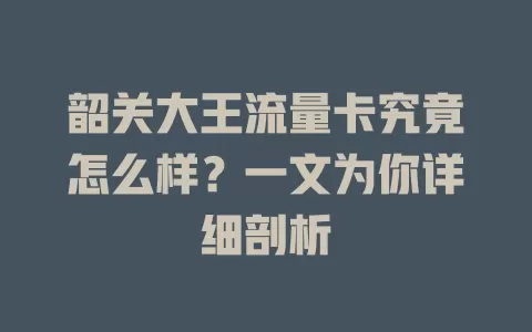 韶关大王流量卡究竟怎么样?一文为你详细剖析