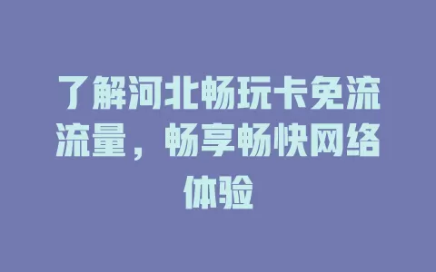 了解河北畅玩卡免流流量,畅享畅快网络体验