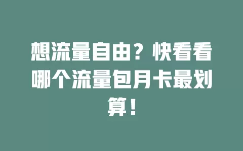 想流量自由?快看看哪个流量包月卡最划算!