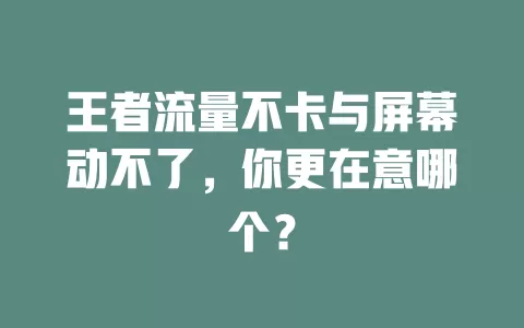 王者流量不卡与屏幕动不了,你更在意哪个?