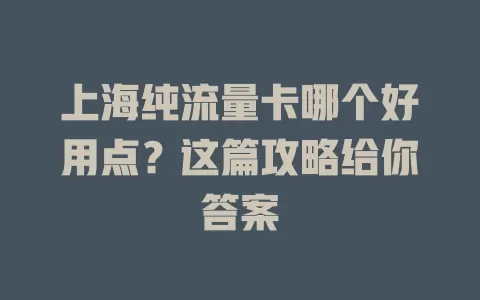 上海纯流量卡哪个好用点?这篇攻略给你答案