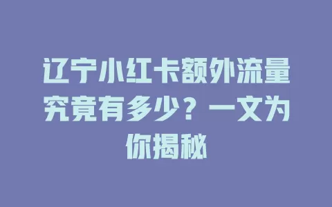 辽宁小红卡额外流量究竟有多少？一文为你揭秘