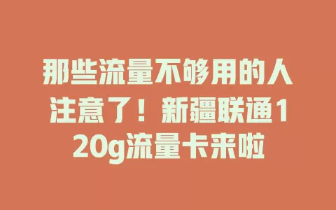 那些流量不够用的人注意了!新疆联通120g流量卡来啦