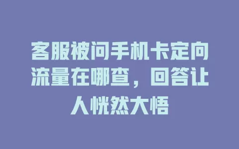 客服被问手机卡定向流量在哪查,回答让人恍然大悟