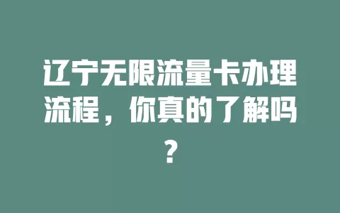 辽宁无限流量卡办理流程,你真的了解吗?