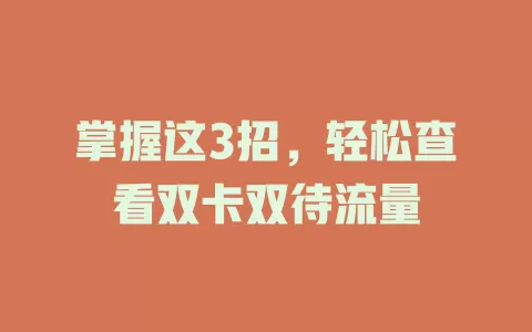 掌握这3招,轻松查看双卡双待流量