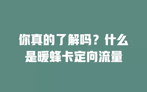 你真的了解吗?什么是暖蜂卡定向流量
