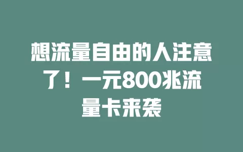 想流量自由的人注意了!一元800兆流量卡来袭
