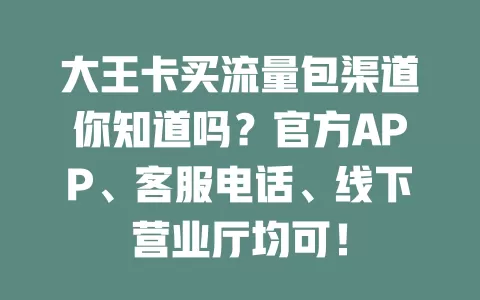 大王卡买流量包渠道你知道吗?官方APP、客服电话、线下营业厅均可!