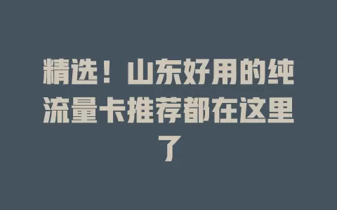 精选！山东好用的纯流量卡推荐都在这里了
