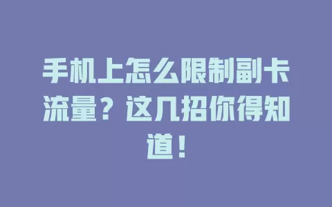 手机上怎么限制副卡流量?这几招你得知道!