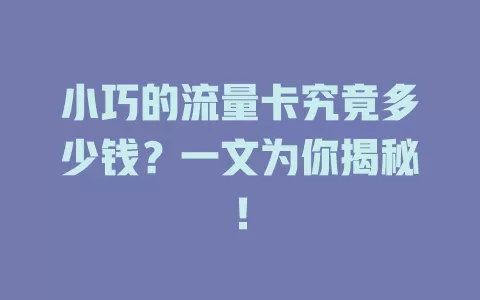 小巧的流量卡究竟多少钱？一文为你揭秘！