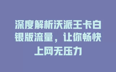 深度解析沃派王卡白银版流量,让你畅快上网无压力