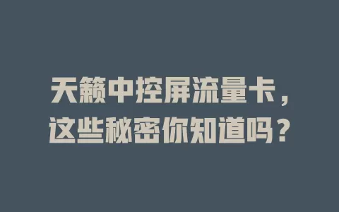 天籁中控屏流量卡,这些秘密你知道吗?