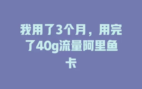 我用了3个月,用完了40g流量阿里鱼卡