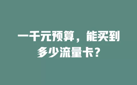一千元预算,能买到多少流量卡?