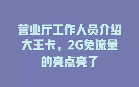 营业厅工作人员介绍大王卡，2G免流量的亮点亮了