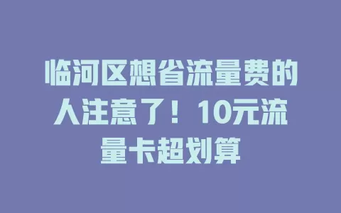 临河区想省流量费的人注意了!10元流量卡超划算
