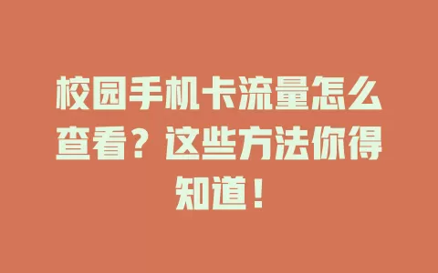 校园手机卡流量怎么查看?这些方法你得知道!