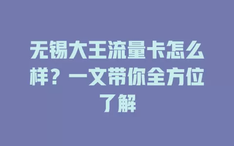 无锡大王流量卡怎么样?一文带你全方位了解