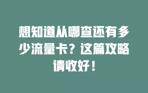 想知道从哪查还有多少流量卡?这篇攻略请收好!