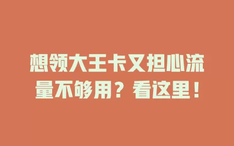 想领大王卡又担心流量不够用?看这里!