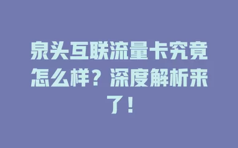 泉头互联流量卡究竟怎么样?深度解析来了!