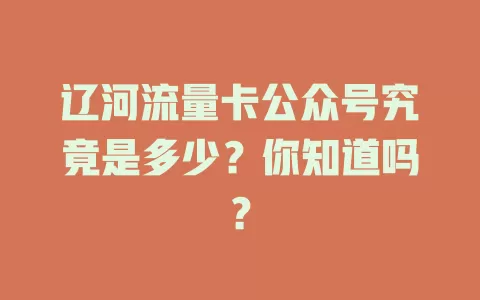 辽河流量卡公众号究竟是多少?你知道吗?