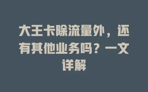 大王卡除流量外,还有其他业务吗?一文详解