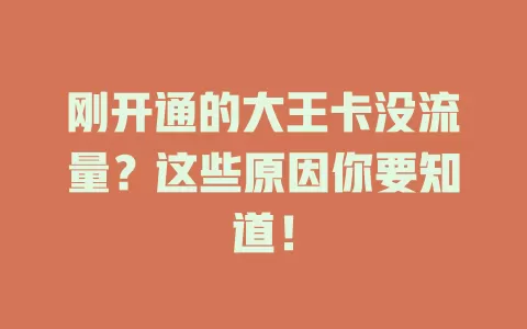 刚开通的大王卡没流量?这些原因你要知道!
