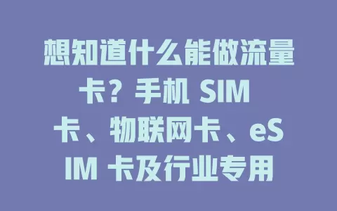 想知道什么能做流量卡？手机 SIM 卡、物联网卡、eSIM 卡及行业专用卡都可以！选对流量卡畅享数字生活，了解这些助你选适合的网络方案