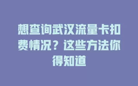 想查询武汉流量卡扣费情况?这些方法你得知道