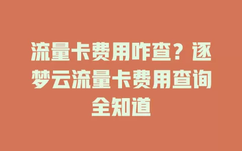 流量卡费用咋查?逐梦云流量卡费用查询全知道
