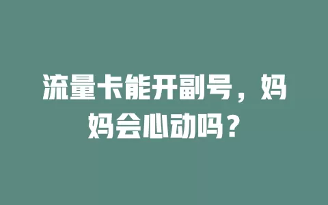 流量卡能开副号,妈妈会心动吗?
