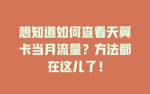 想知道如何查看天翼卡当月流量?方法都在这儿了!
