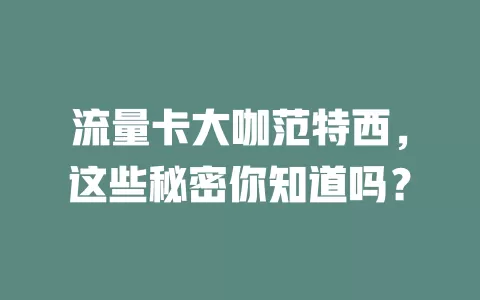 流量卡大咖范特西,这些秘密你知道吗?