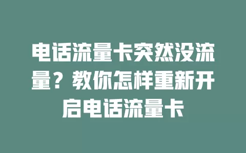 电话流量卡突然没流量?教你怎样重新开启电话流量卡