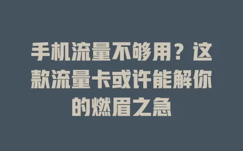手机流量不够用？这款流量卡或许能解你的燃眉之急