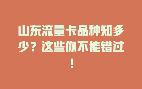 山东流量卡品种知多少?这些你不能错过!