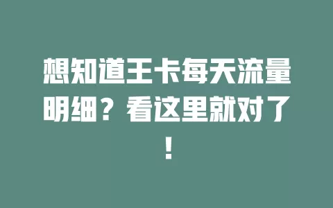 想知道王卡每天流量明细?看这里就对了!