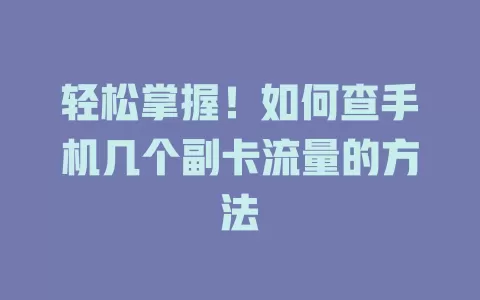 轻松掌握!如何查手机几个副卡流量的方法